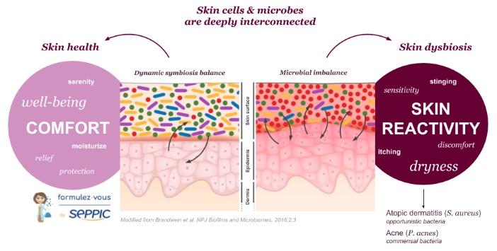 Skin-Microbiome symbiosis